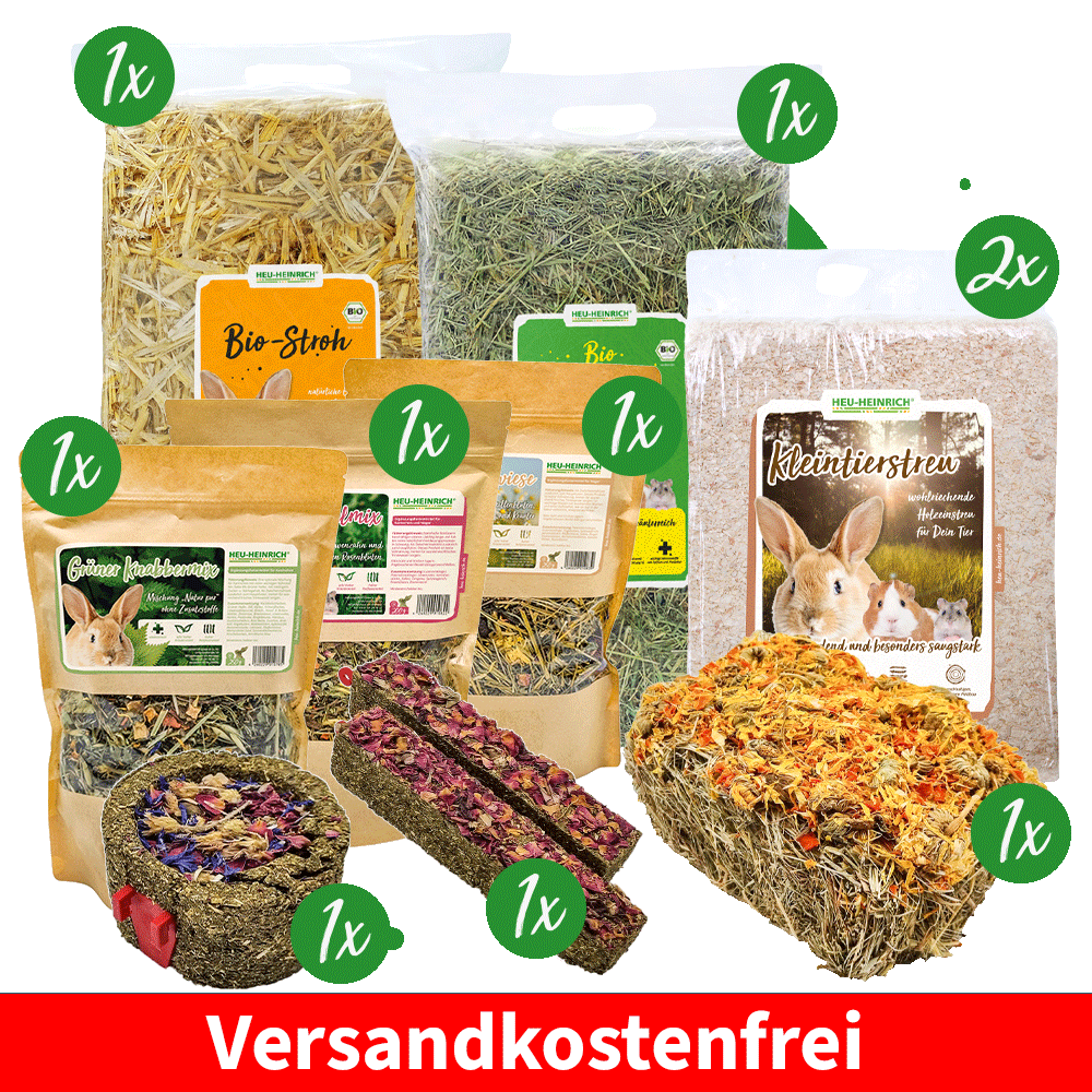 Das Bild zeigt den Inhalt des Genusskiste XXL Sets. Bio-Bergwiesenheu 4 kg, Bio-Stroh 4 kg, Kleintierstreu 2 x 3200 g, Wildwiese 250 g, Heuschnitte 230 g, Vitalmix 200 g, Grüner Knabbermix 250 g, Grüner Knabbernapf 140 g, Knabberstick Rosenblü