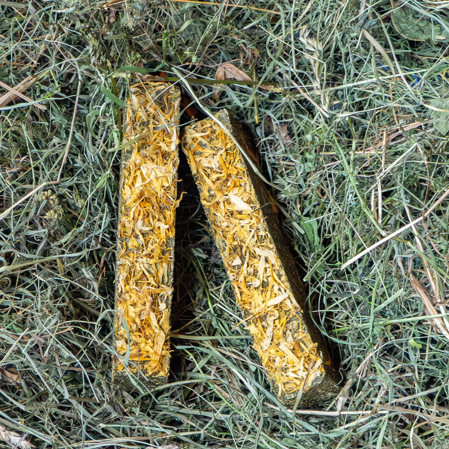 250g Ergänzungsfuttermittel "Knabberstick- Ringelblumen " von Heu-Heinrich, Sack/Belohnungsfutter für Nagetiere. Foto von 2 nebeneinander liegenden Knabberstick- Ringelblumen, im Heu liegend. Heu in länglicher rechteckiger Form gepresst und einem Topping 