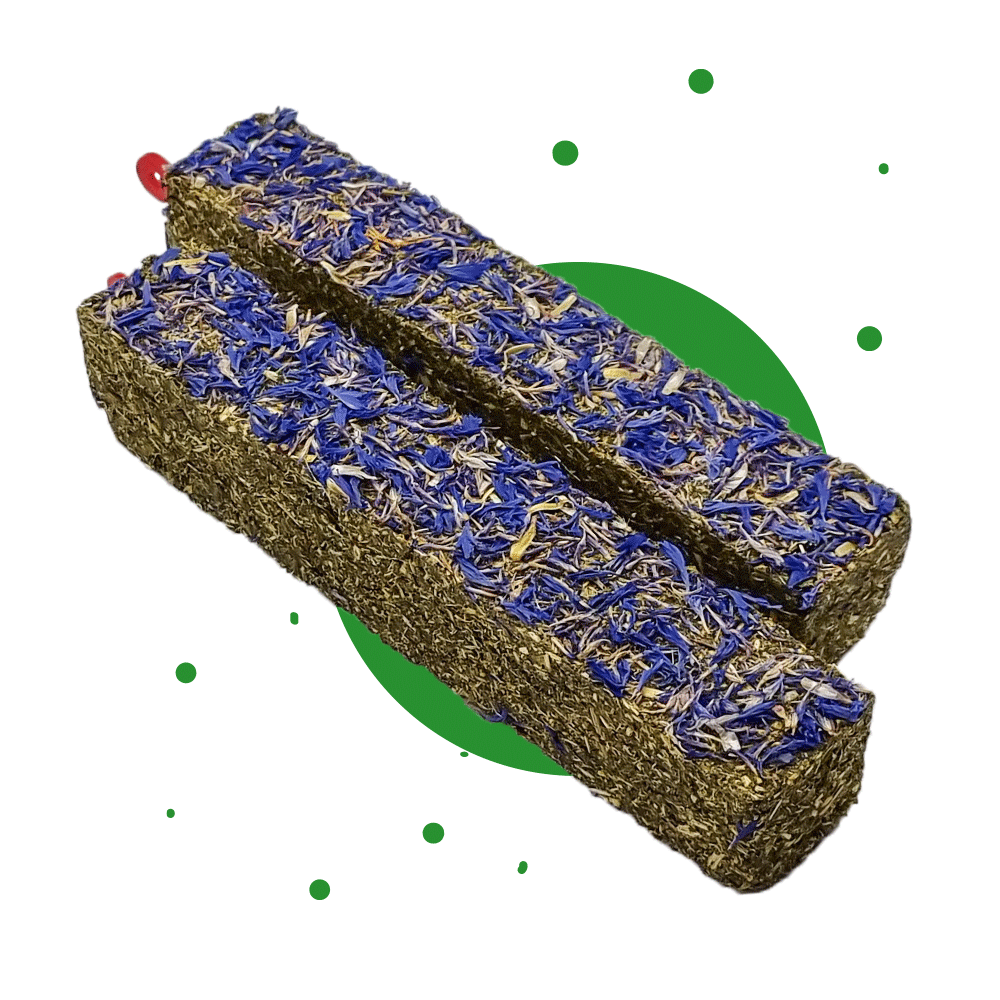 250g Ergänzungsfuttermittel "Knabbersticks-Kornblumen" von Heu-Heinrich, Sack/Belohnungsfutter für Nagetiere. Foto von 2 nebeneinander liegenden Knabberstick-Kornblumen. Heu in länglicher rechteckiger Form gepresst und einem Topping mit Kornblumen. Seitli