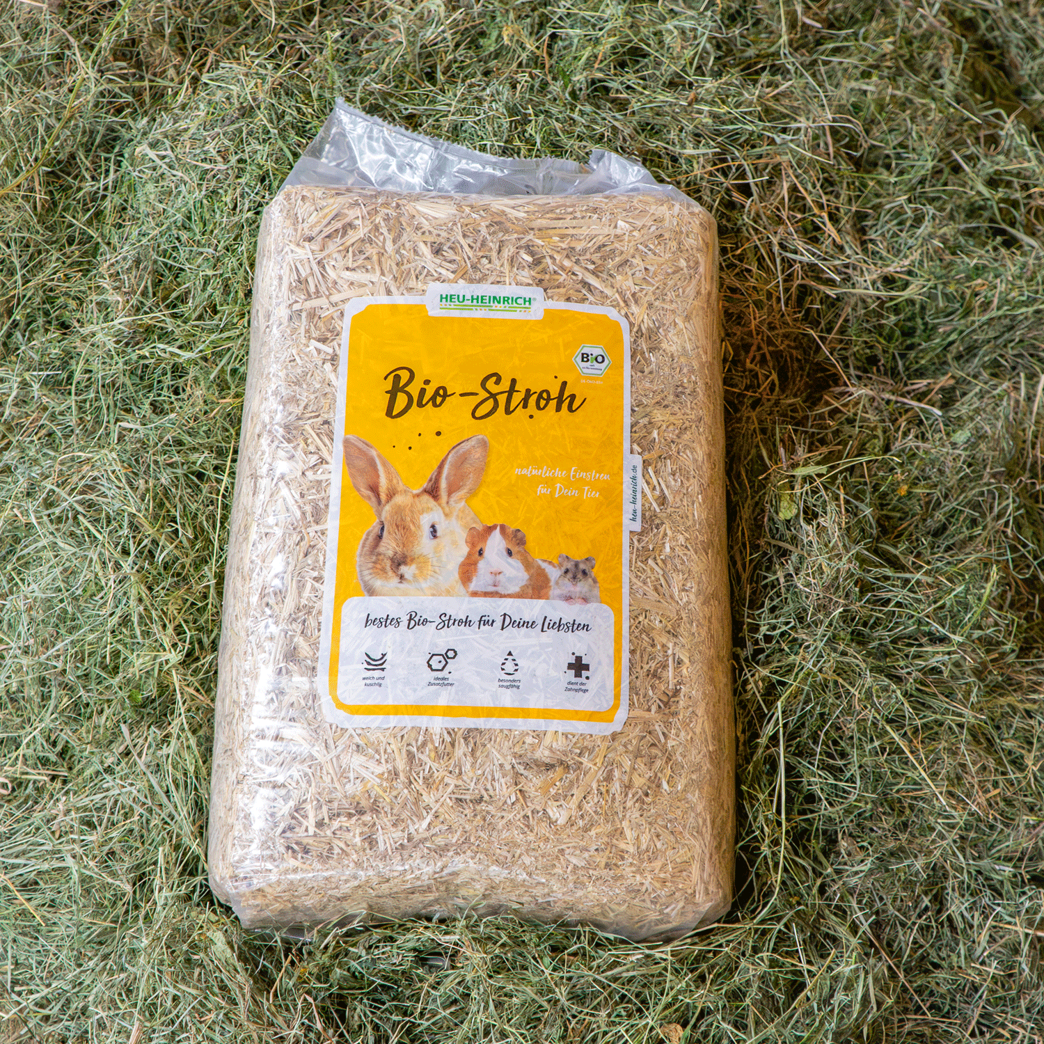 Bio-Stroh 4 kg von Heu-Heinrich – Produktfoto auf locker ausgebreitetem Heu liegend
