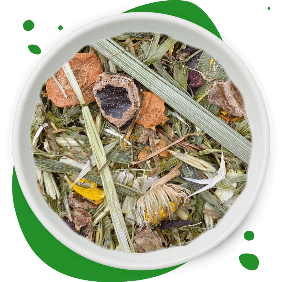 500g Futtermischung "Natur Pur" von Heu-Heinrich, Trockenfutter für Kaninchen, Meerschweinchen und Chinchillas. Ergänzungsfuttermittel in weißer Porzellanschüssel mit grünen Punkten im Hintergrund