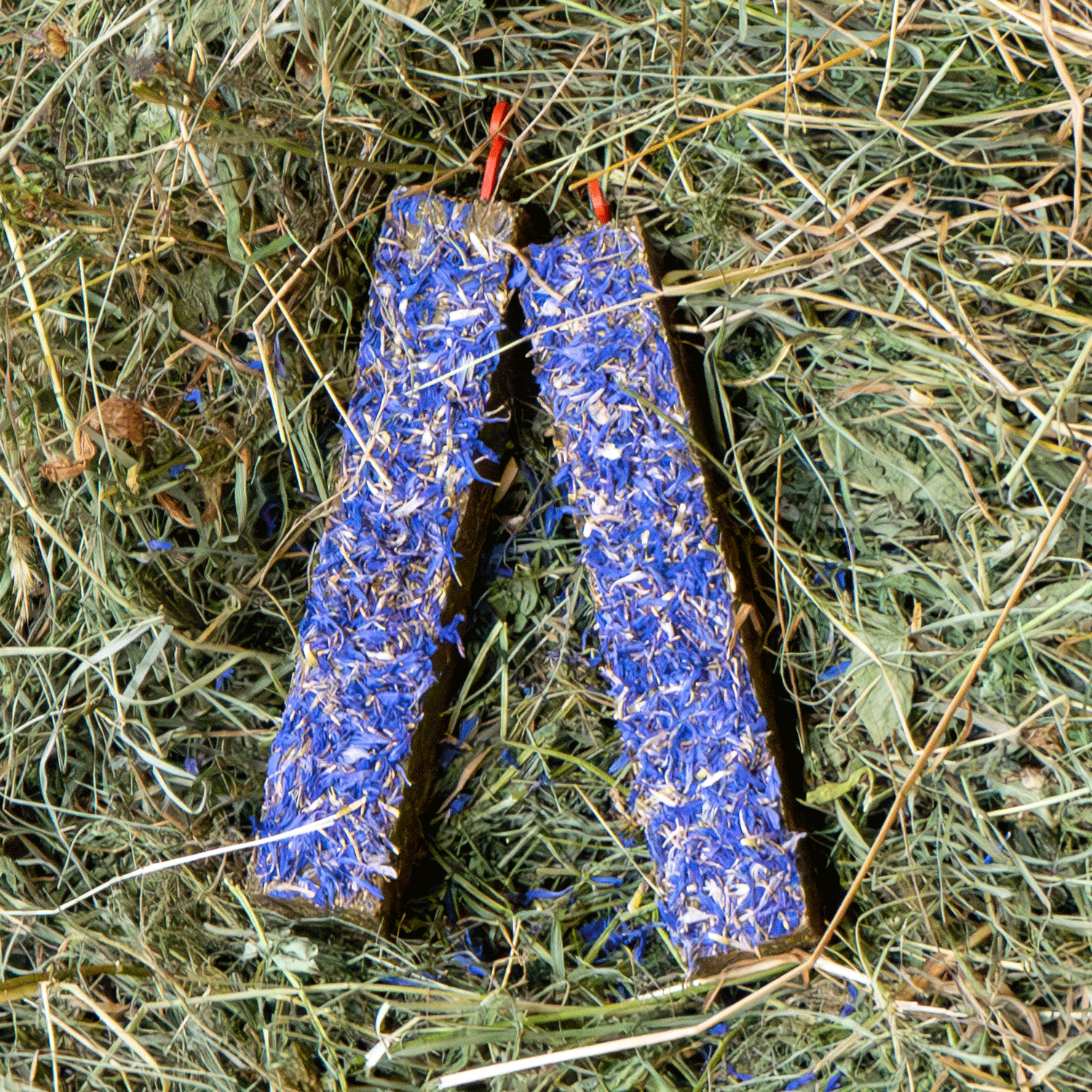 250g Ergänzungsfuttermittel "Knabberstick-Kornblumen" von Heu-Heinrich, Sack/Belohnungsfutter für Nagetiere. Foto von 2 nebeneinander liegenden Knabberstick-Kornblumen, im Heu liegend. Heu in länglicher rechteckiger Form gepresst und einem Topping mit Kor