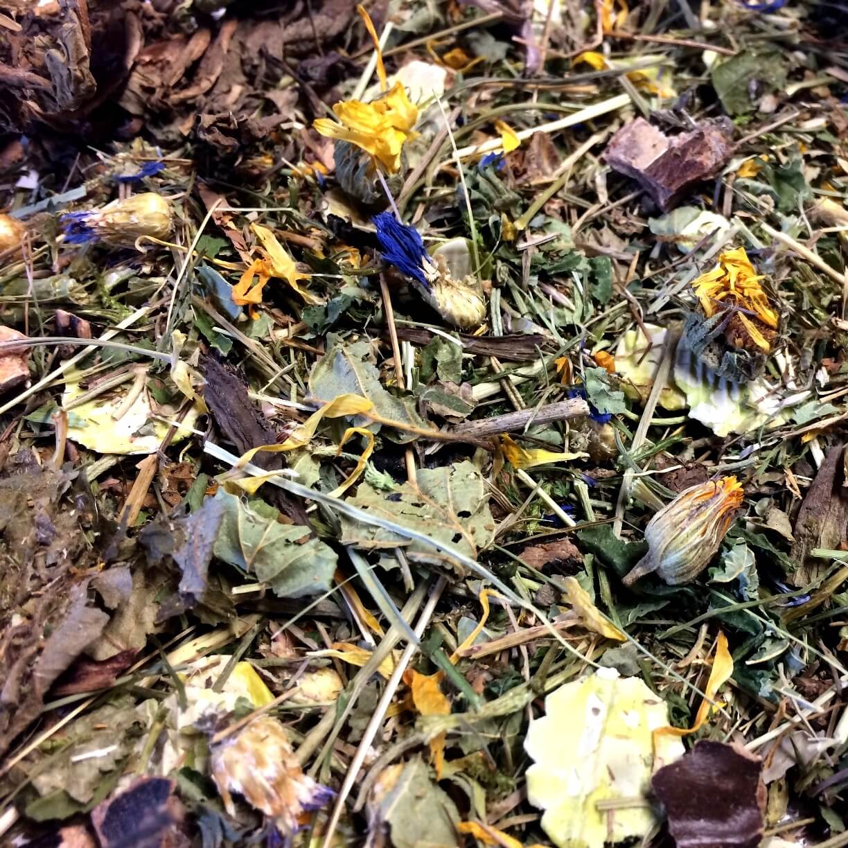 Heu-Mix-1_1_k50quad58a9a91c3d190 Detailfoto des Heu-Mix 1 von Heu-Heinrich mit Ringelblumen, Blättern und strukturreichem Heuanteil