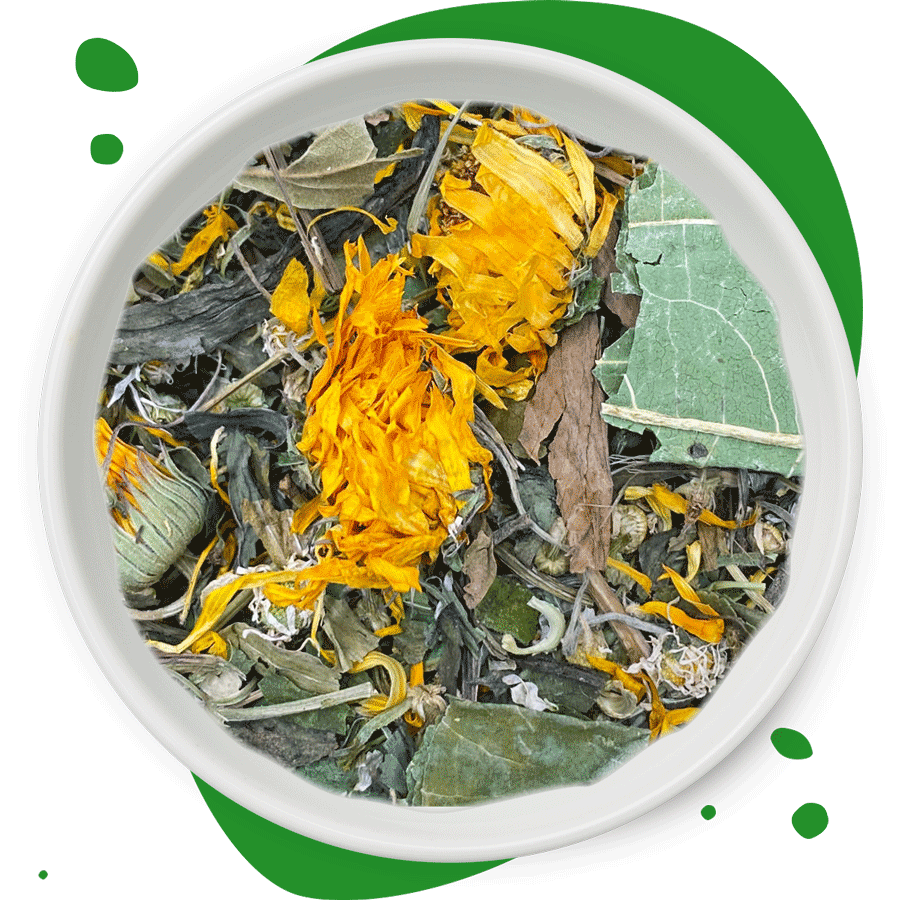 500g Futtermischung "Bronchial-Schnupfenkräuter" von Heu-Heinrich, Trockenfutter für Chinchillas, Meerschweinchen, Degus und Kaninchen. Ergänzungsfuttermittel in weißer Porzellanschuessel mit gruenen Punkten im Hintergrund
