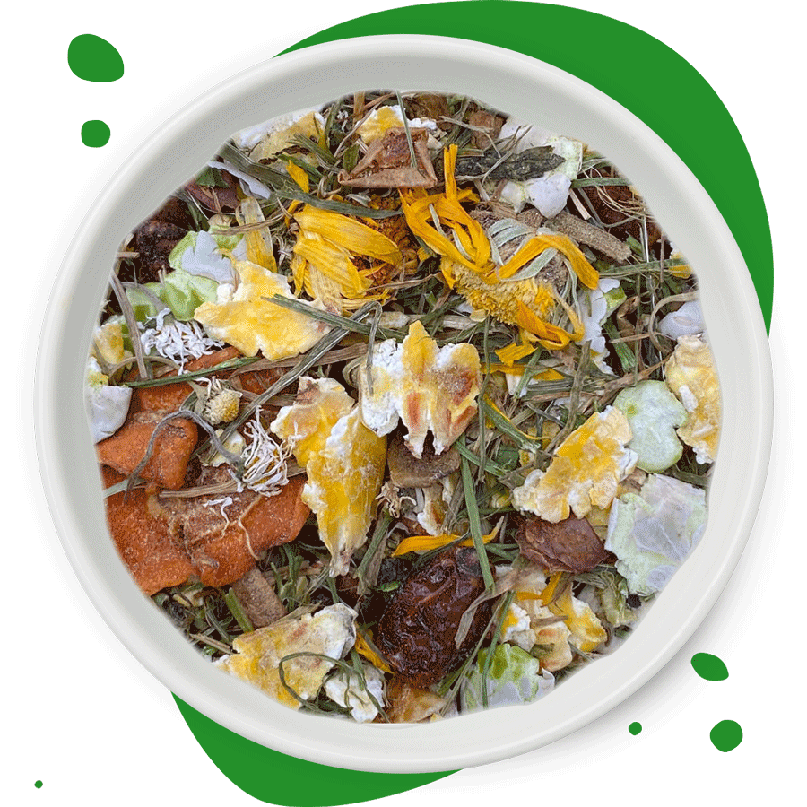 500g Futtermischung "Wiesentraum" von Heu-Heinrich, Trockenfutter für Kaninchen, Meerschweinchen und Chinchillas. Ergänzungsfuttermittel in weißer Porzellanschüssel mit grünen Punkten im Hintergrund
