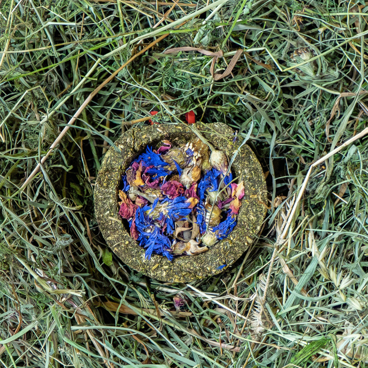 140g Ergänzungsfuttermittel "Grüner Knabbernapf" von Heu-Heinrich, Sack/Belohnungsfutter für Nagetiere. Foto vom Knabbernapf. Heu in Form eines Futternapfes gepresst und gefüllt mit Rosen- und Kornblumenblüten. Im Heu liegend.