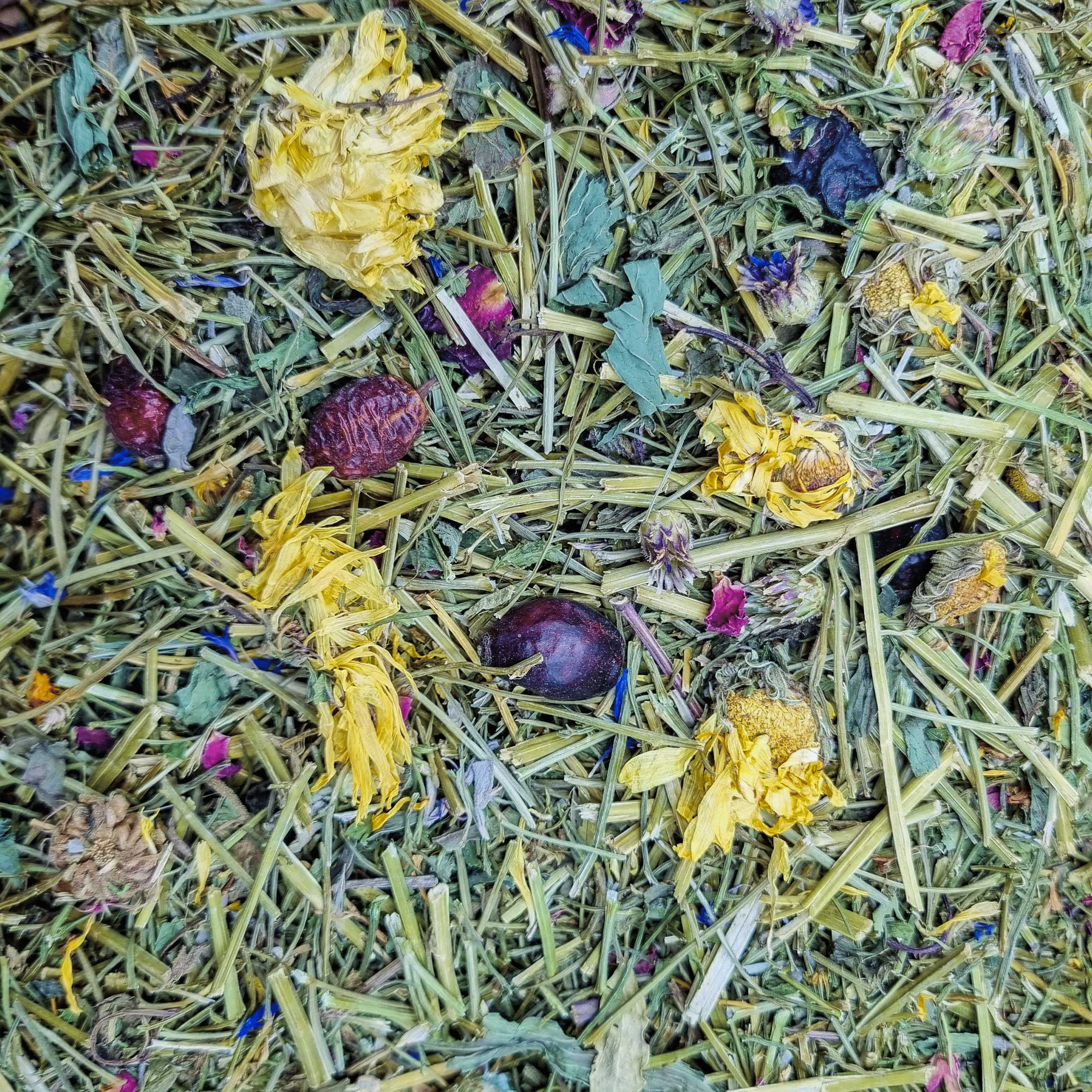 250g Futtermischung " Wildwiese " von Heu-Heinrich, Trockenfutter für Kaninchen und Nager. Ergänzungsfuttermittel Nahaufnahme von den Inhaltsstoffen