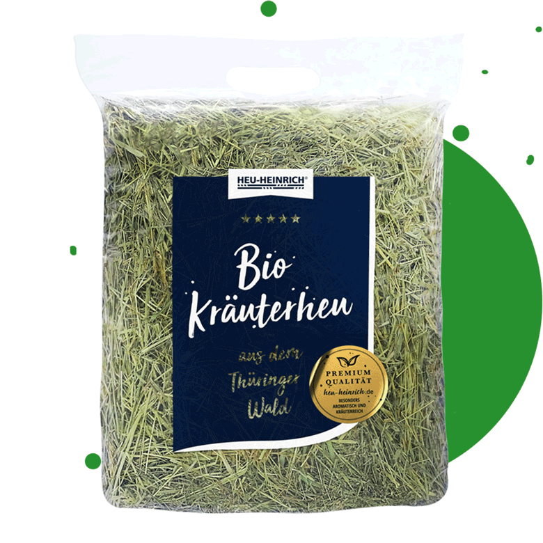 750 g Premium Bio-Kräuterheu von Heu-Heinrich aus dem Thüringer Wald – aromatisches Heu im Frischebeutel